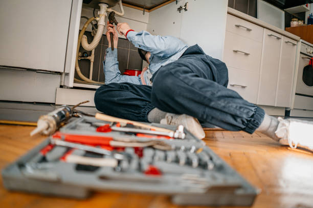 Best Plumbing Services Near Me  in Capron, IL