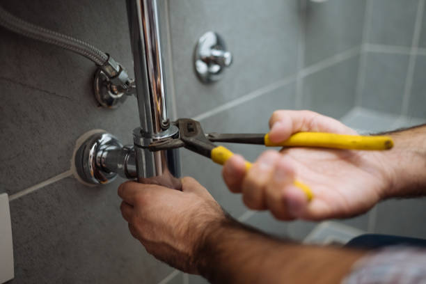 Best Sprinkler Systems  in Capron, IL