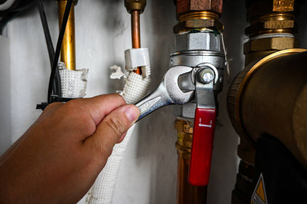 Best Residential Plumbing Services  in Capron, IL